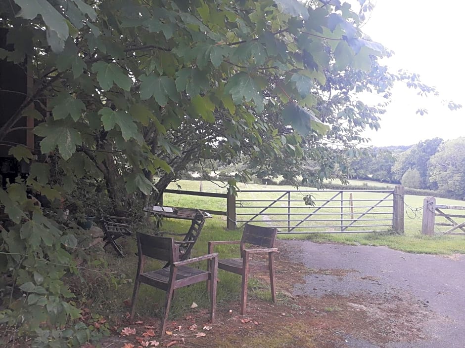 Moaps Farm B&B support small business, welcome, check in from 5 pm