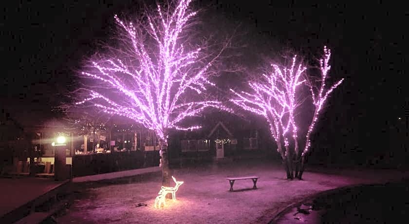Hotel Reposer Hakuba