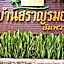 Baan Saranrom