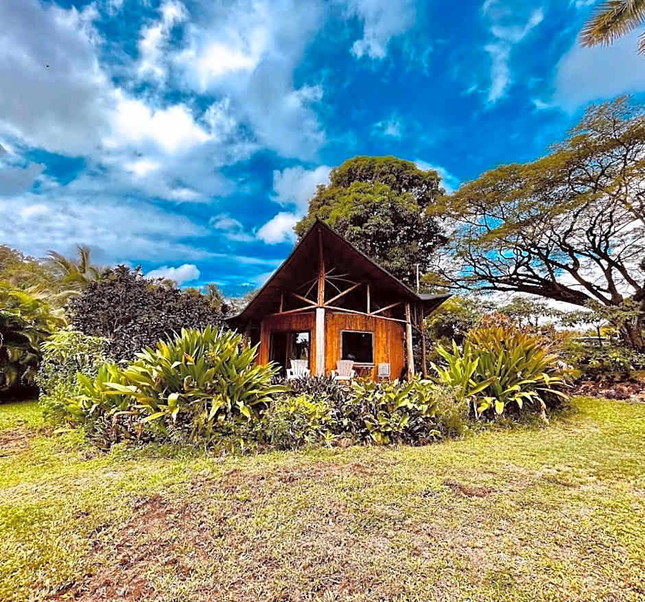 Kalani Oceanside Retreat