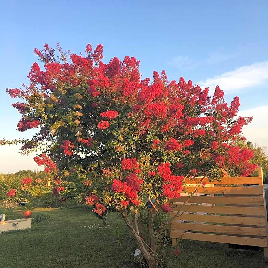 Aux Coteaux d'Aussac