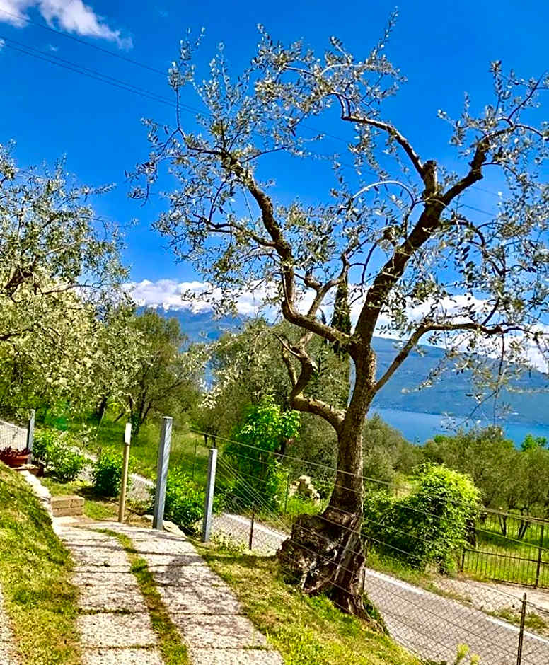 Caselli Vigole al Sole