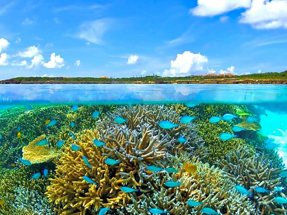 Hotel Breezebay Marina