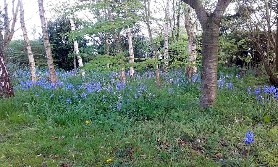 Twin Oaks Bed & Breakfast