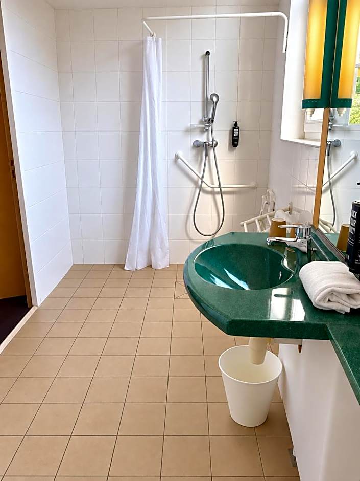 ibis Lyon Sud Saint-Rambert-d'Albon