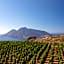 Tenuta di Castellaro Winery & Resort