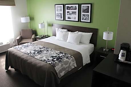 King Room - Non-Smoking