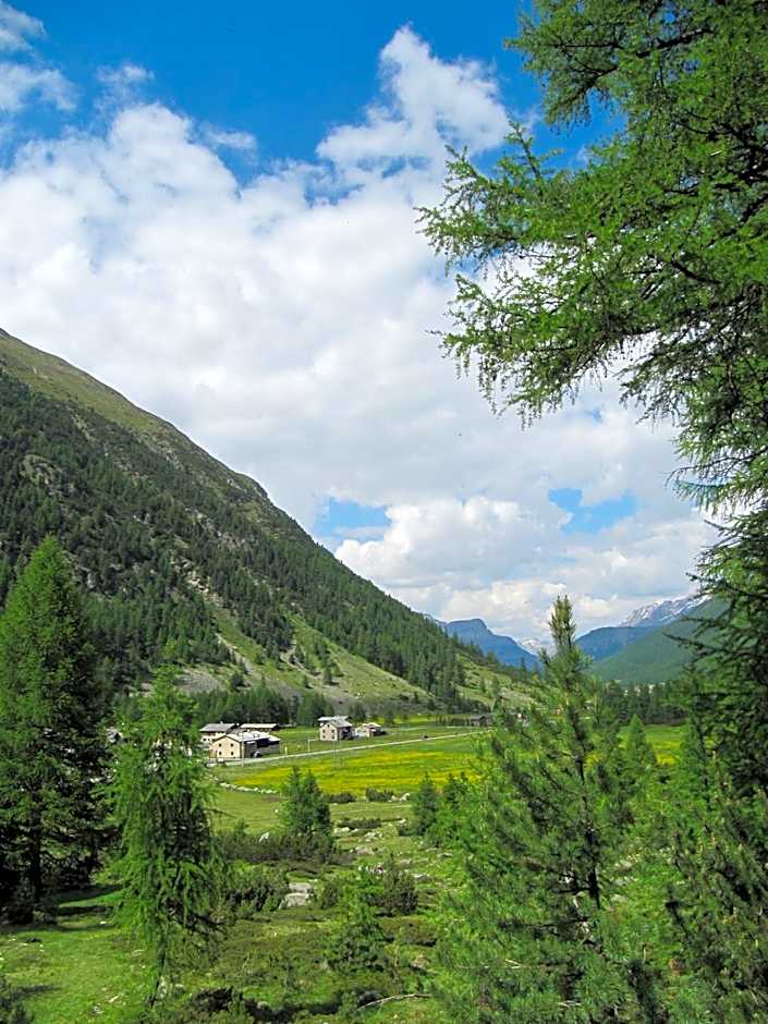 Bed & Breakfast Campaciol