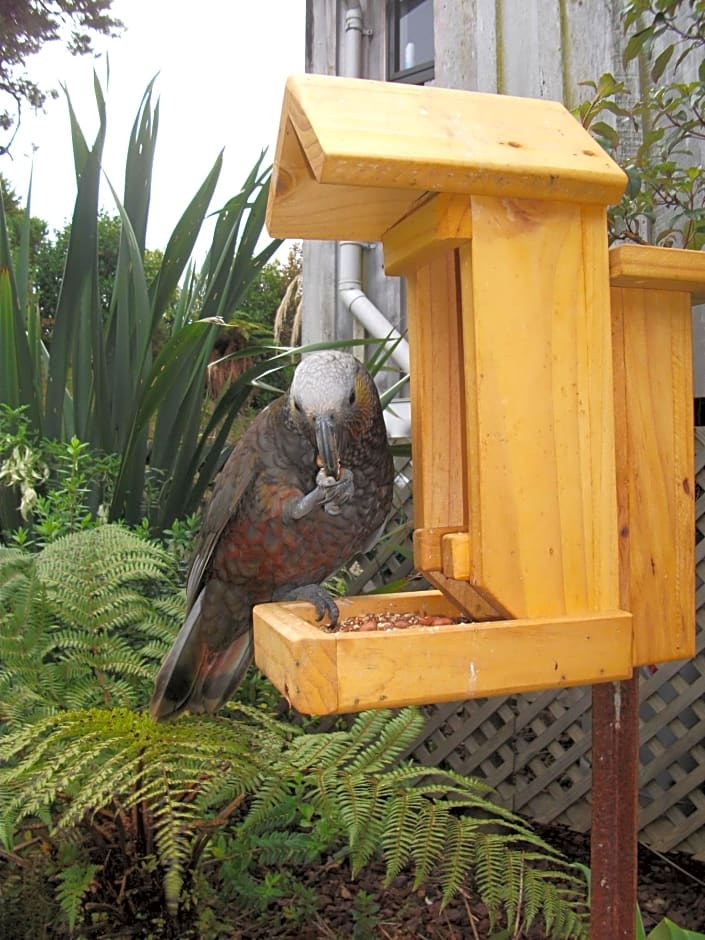 Kaka Retreat Motel, Stewart Island
