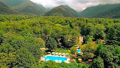 Wald Hotel Lagodekhi Rooms