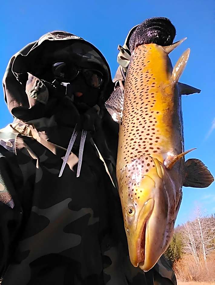 Escape to The Cabin, 1GB Fiber Ultrafast Wifi!