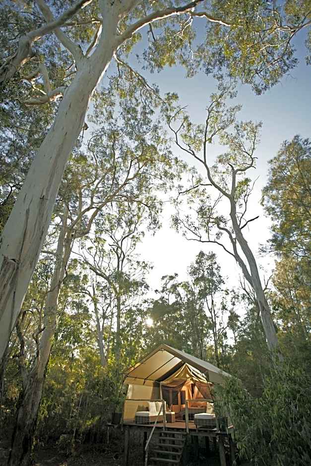 Paperbark Camp