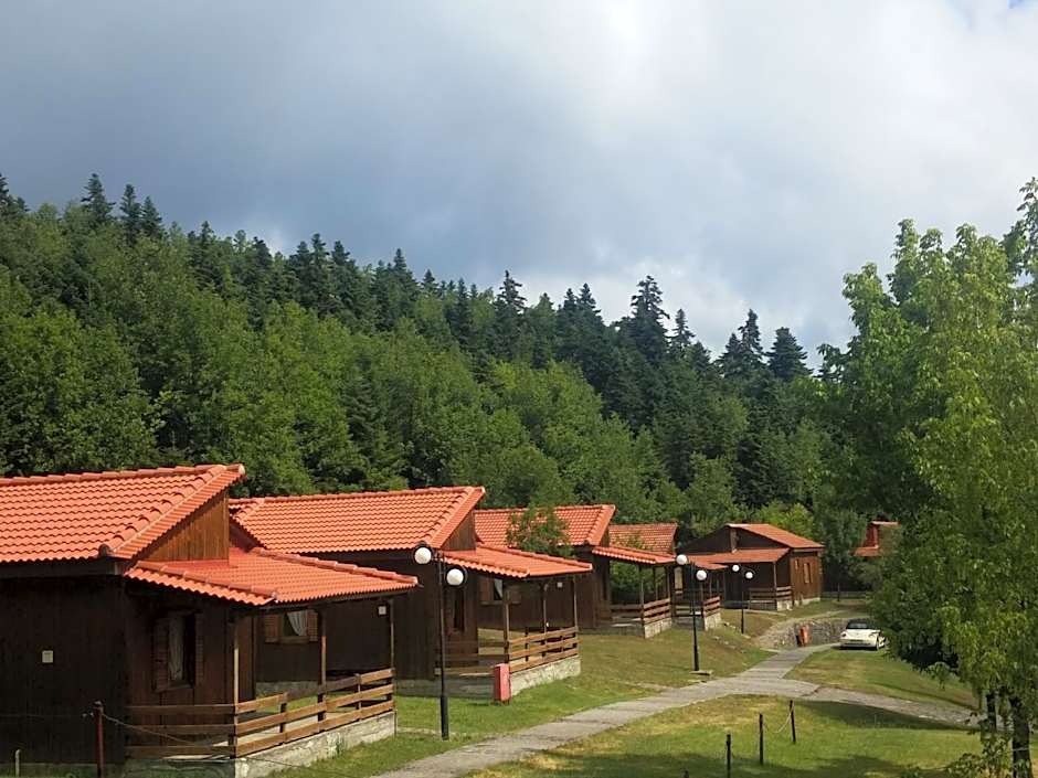 Livadaki Village - Δασικό Χωριό Λιβαδάκι