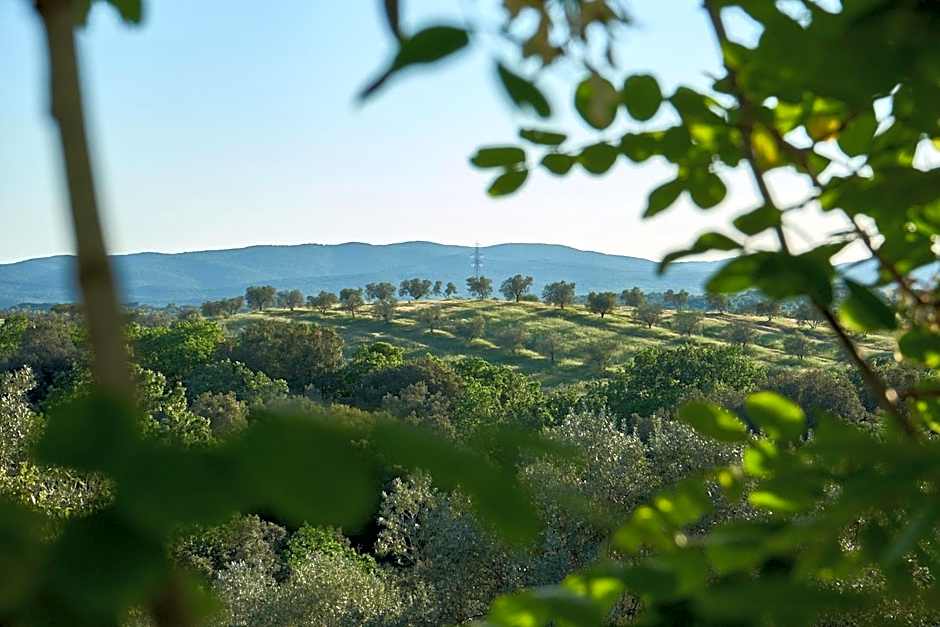 Agriturismo Tesorino