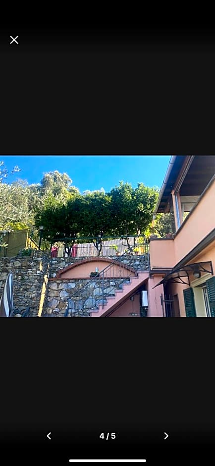 Il Gabbiano Di Pieve