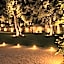 OLYMPUS PARK amnesia