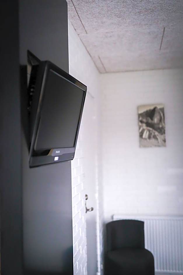 Dolphin Hotel Herning