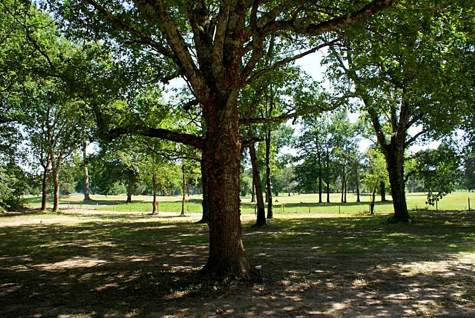 DOMAINE DU BOIS SEGUIN