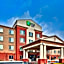 Holiday Inn Express Hotel & Suites Dewitt - Syracuse By IHG