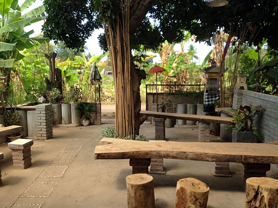 Apollo Hostel