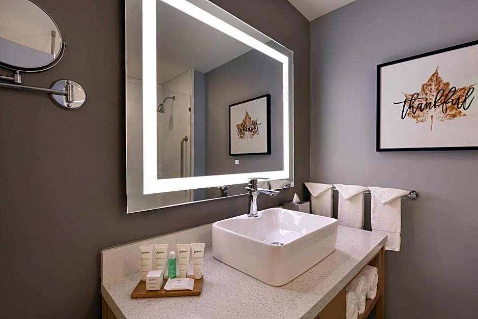 Radisson Hotel Atlanta Airport