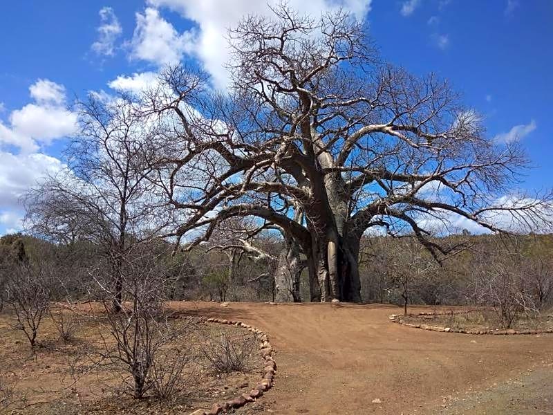 Nthakeni Bush & River Camp