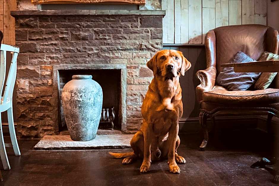 Bulls Head - Holymoorside