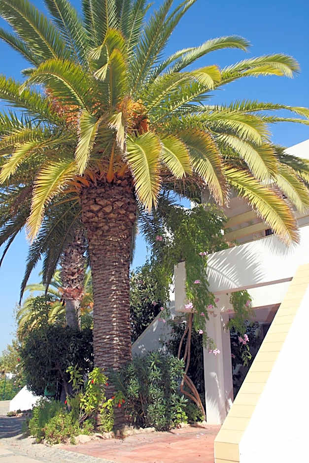 Capitalmoura Mouragolf Village