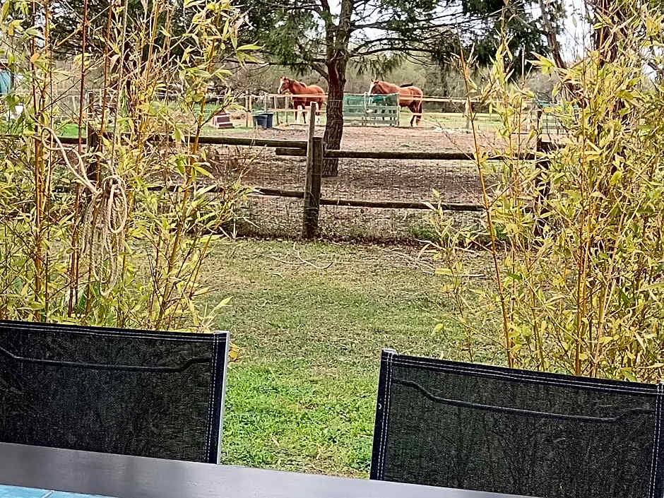 Mas de la Tour Carbonnière