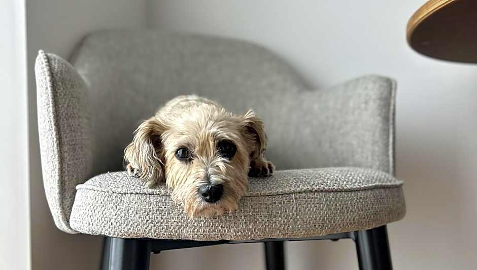 Ten Hotel BW Signature Collection