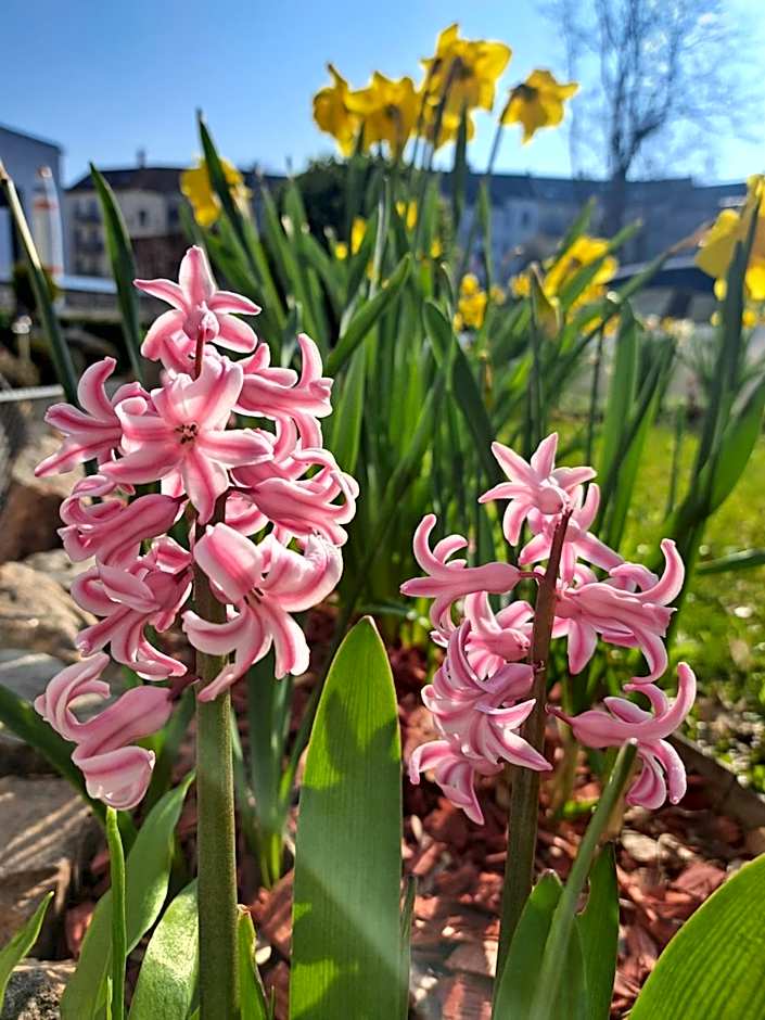 Space Hotel im Campus der JvP Schule
