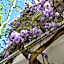Albergo Villa Lucia