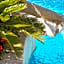 Villa Araucaria