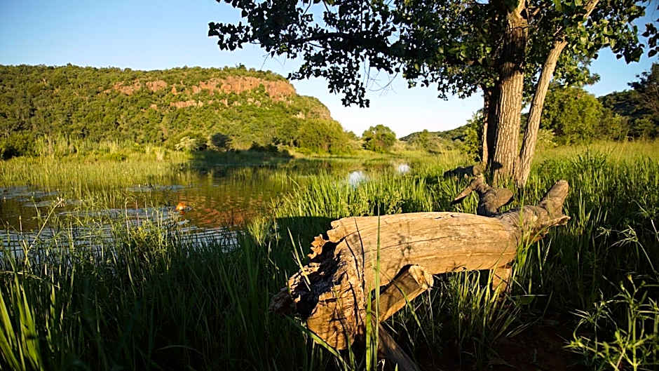 Leopards Rock Bush Boutique