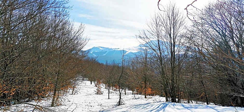 GranChalet sul Cimone 103