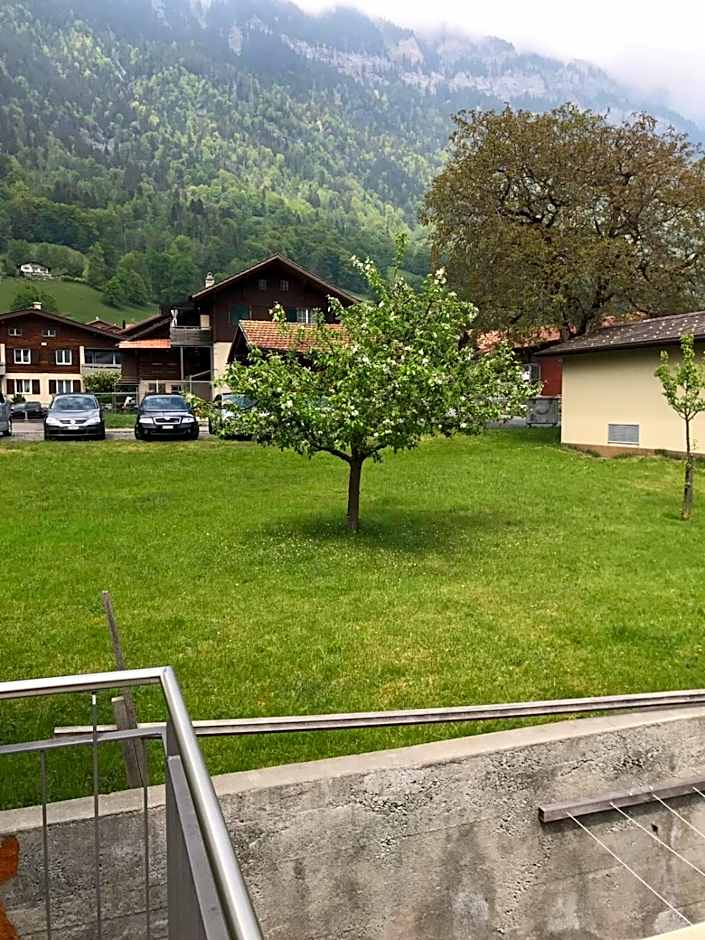 Swiss Chalet Holidays Ringgenberg