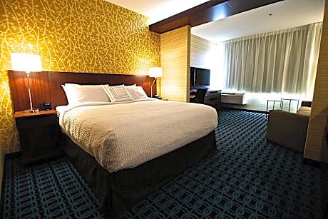 Suite, 1 King Bed with Sofa bed (1 King Bed and 1 Double Sofa Bed)