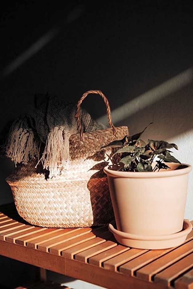 Surf & Yoga Retreats Fuerteventura