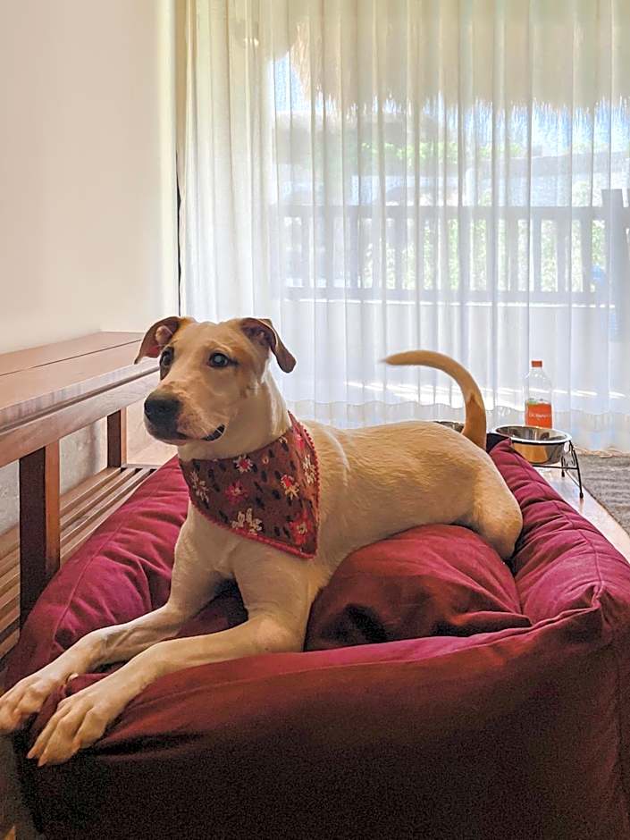 Kimpton Aluna Tulum By IHG