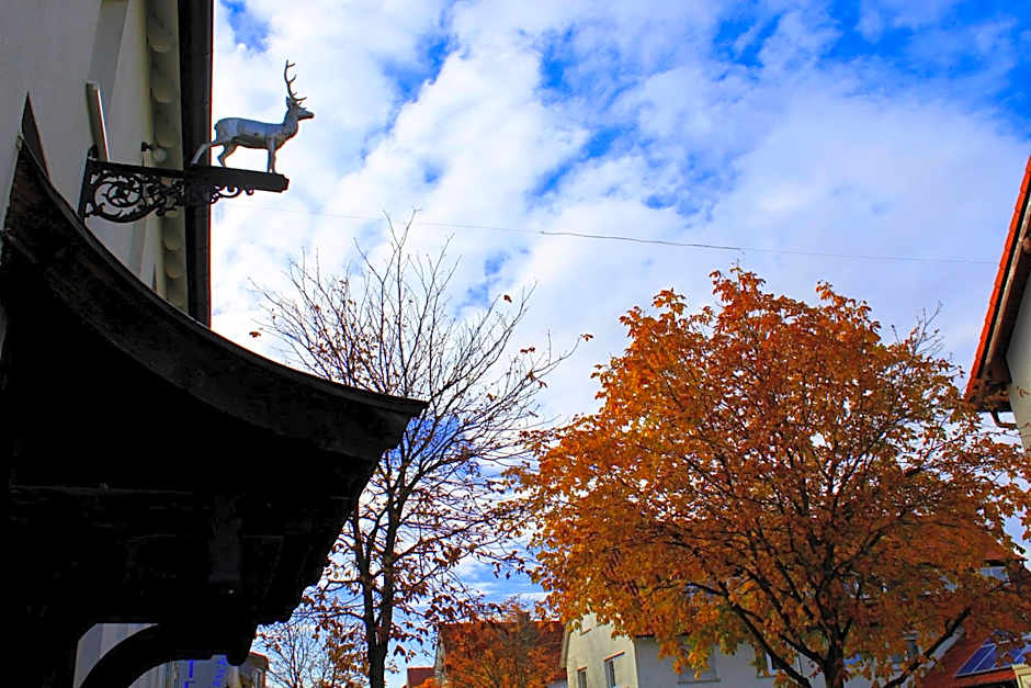 Hotel am Hirschgarten