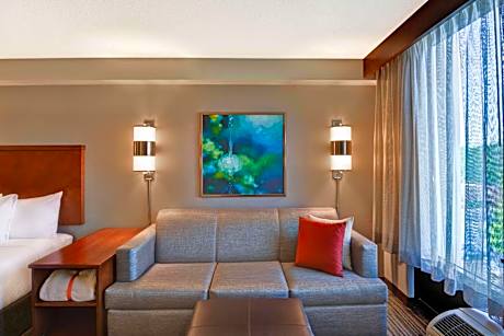 King Room with Accessible Tub - Disability Access