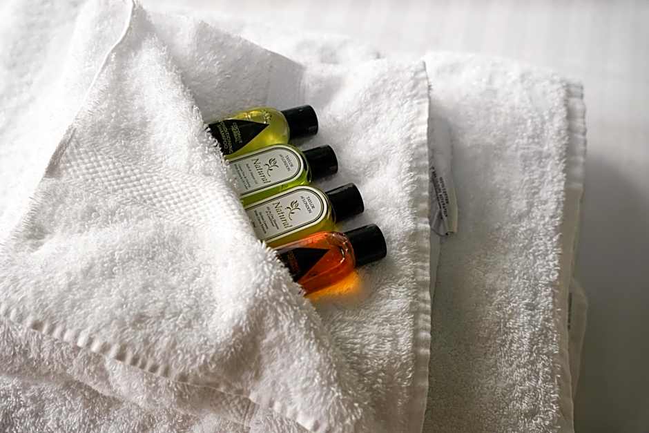 Hamlet Hotels Maidstone