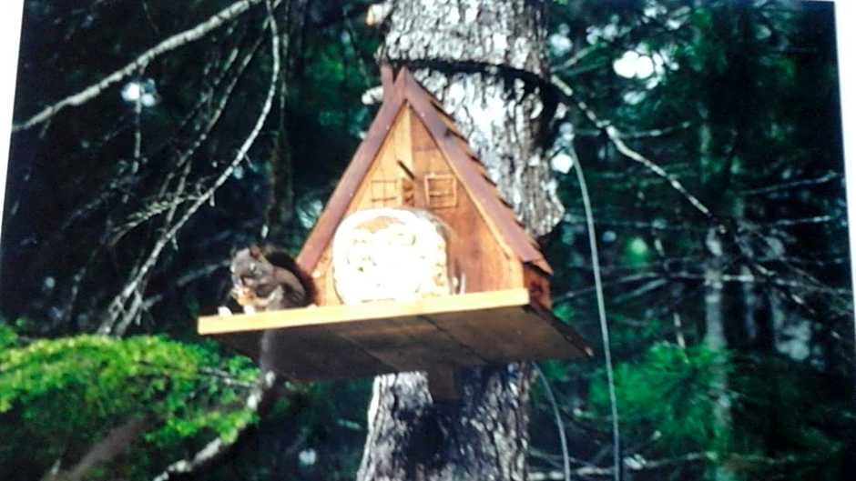 Beaver Hut Bed And Breakfast