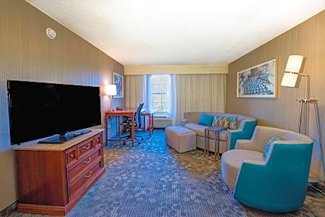 Suite, 1 King Bed with Sofa bed (1 King Bed and 1 Double Sofa Bed)