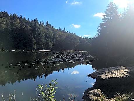 La Maison de Ville - bed & bistro