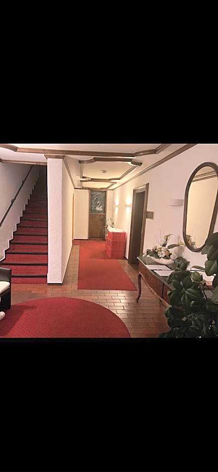 Hotel Schwan