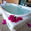 Royal Solaris Los Cabos - All Inclusive