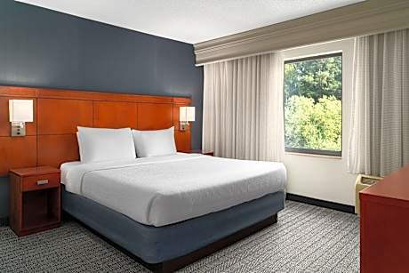 1 Bedroom 2 room Suite, 1 King, Sofa bed