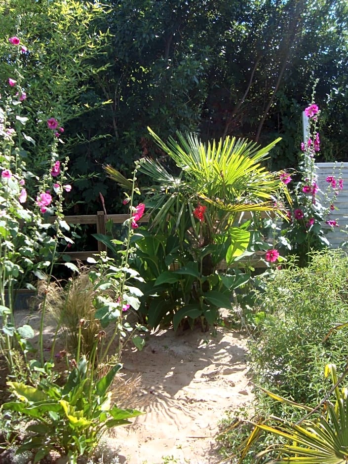 Studio "LA MEDINA", PISCINE jusqu'au 15 septembre, JARDIN BOTANIQUE, COMMERCES &MER