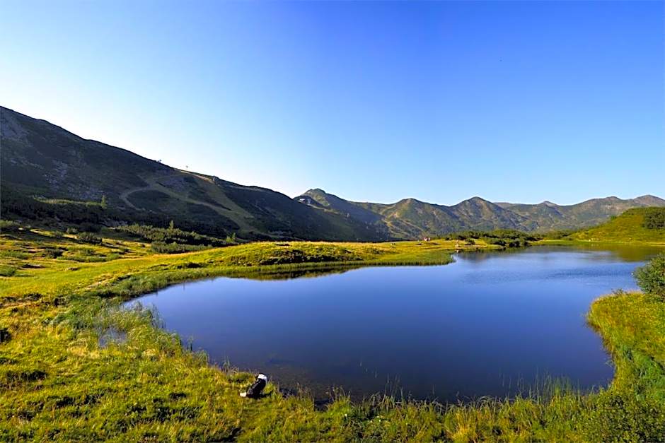 Alpengasthof Grimmingblick